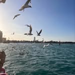 Chris - @chris.kieran55 - Instagram