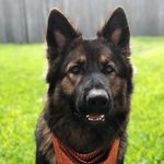 Chris Kittrell - @kittrell11 - Instagram