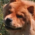 Chris Klopfenstein - @cklopfenstein345 - Instagram