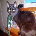 Chris Knabe - Facebook