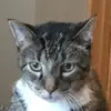 Andrew Schmidtknecht - @chrisschmidtknecht - TikTok
