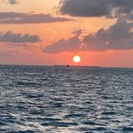 Chris Knecht Southward - @chrisknechtsouthward - Instagram