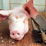 Chris Knights Youngs - @knightsyoungs - Instagram