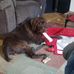 Chris Koeller - Facebook