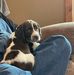 Chris Kohn - Facebook
