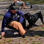 Chris Kohn - @kohn.k9decoy - Instagram