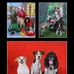 Chris Kohn - Facebook