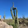 christopher kohn - @christopher.kohn02 - TikTok