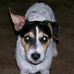 Chris Koll - Facebook