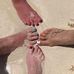 Chris Kollar - Facebook
