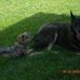 Chris Korte - Facebook