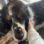 Chris Krawczyk - @christopher_krawczyk1 - Instagram