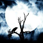 chris kreiser - @lonewolf2120 - Instagram
