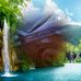 Chris Kretzer - Facebook