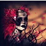 Chris Krewson. - @kushphilosophy - Instagram