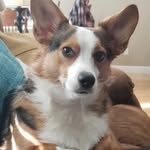 Chris Krewson Birch - @ckrewbirch - Instagram