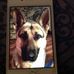 Chris Kropp - Facebook