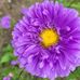 Christabe Savoie - Facebook
