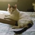 Chris Kryzewski - @kryzewskichris - Instagram