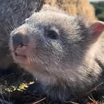 Chris Kuan - @kuronadare - Instagram