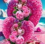 Chris Kuan - Facebook