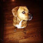 Chris Kubacki - @kubackic - Instagram