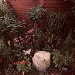 Christopher Kubacki - @topherrr333 - Instagram