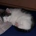 Chris Kube - Facebook