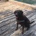 Chris Kube - Facebook