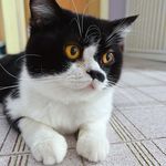 KuBe@Chris - @kube_chris - Instagram