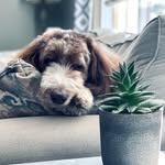• Chris K Photos • - @chris.kucinski - Instagram