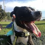 Chris William Kugler - @swagbags21234 - Instagram