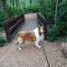 Chris Kasel - Facebook