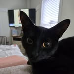 Chris Lade - @ladechris - Instagram