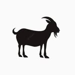 Chris Laing - @thehungriestgoat - Instagram
