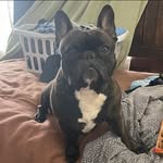 Chris Lampkins - @c.lampkins - Instagram
