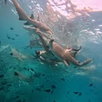Chris Lamson - @chrisinsaigon - Instagram