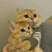 Chris Lance - Facebook