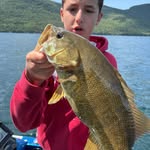 Chris Lancia - @chris_lancia_jr - Instagram
