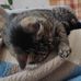 Christina Landauer - Facebook