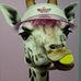 Chris Landberg - Facebook