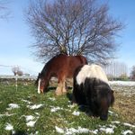Chris Langendries - @chris_langendries - Instagram