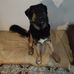 Christian Lachmayer - Facebook