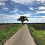 Christian Langmayr - @synorga - Instagram