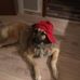 Chris Langner - Facebook