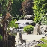 Christian Langner - @_teichbau_ - Instagram