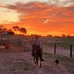 Chris Langridge - @chris.langridge.581 - Instagram