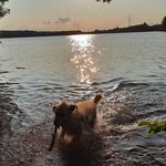 Christiane Lankhorst - @christianelankhorst - Instagram