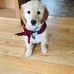 Christopher Lanouette - Facebook