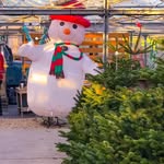 Lansdowne Nursery - @lansdownechristmastrees - Instagram